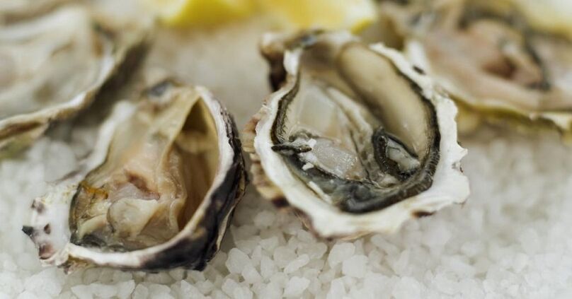 oysters გაზრდის მამრობითი potency